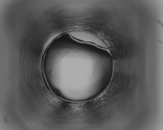 X0000091310147200708311404