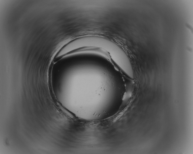 X0000091310148200708311404