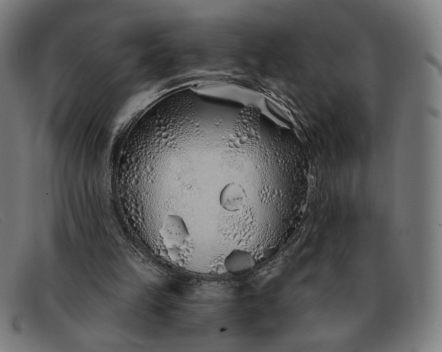 X0000091310149200708311404