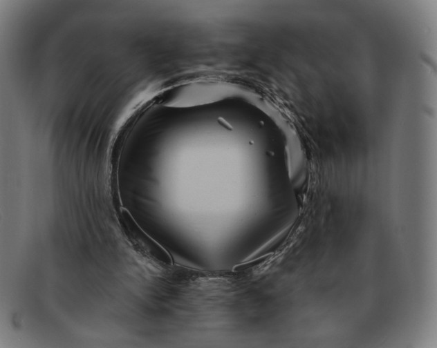 X0000091310150200708311404