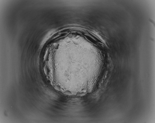 X0000091310151200708311404