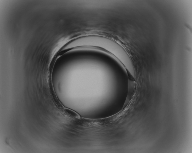 X0000091310152200708311404