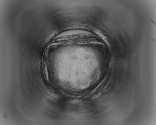 X0000091310153200708311404