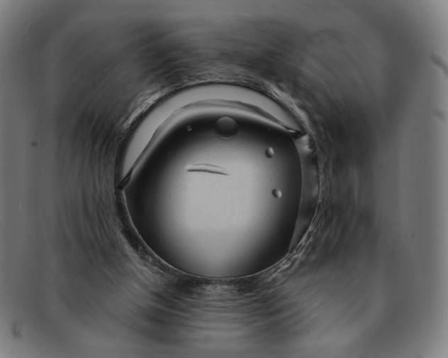 X0000091310154200708311404