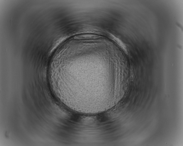 X0000091310155200708311404