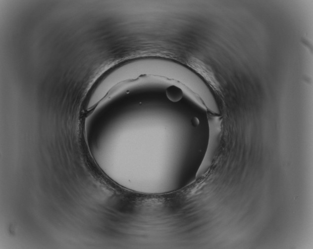 X0000091310156200708311404