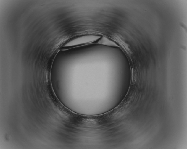 X0000091310157200708311404