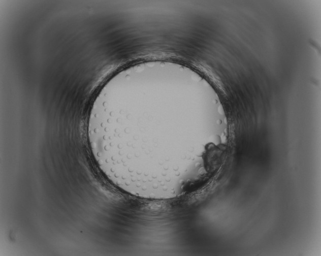 X0000091310159200708311404