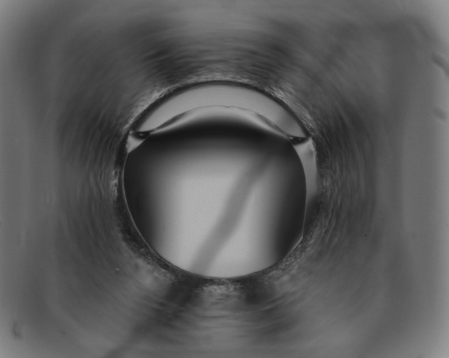 X0000091310160200708311404