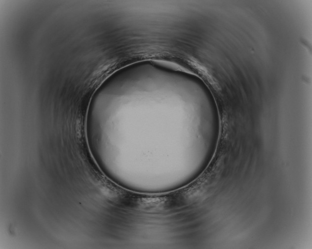 X0000091310161200708311404