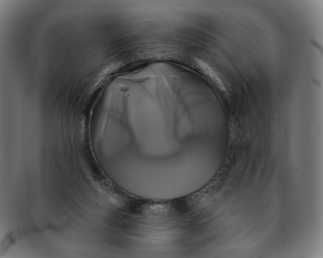 X0000091310163200708311404