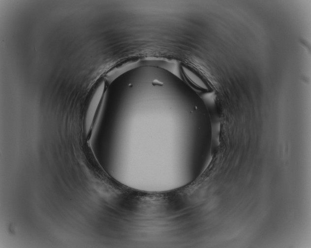 X0000091310164200708311404