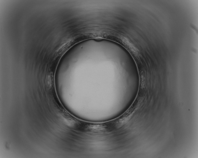 X0000091310165200708311404