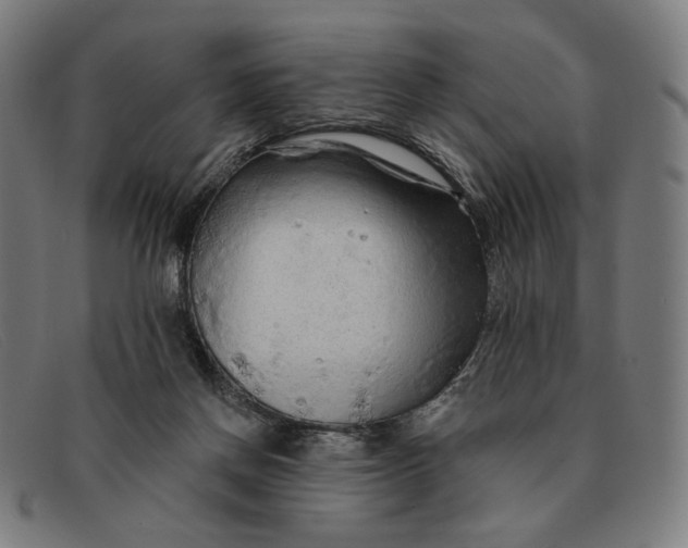 X0000091310166200708311404