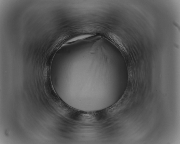 X0000091310167200708311404