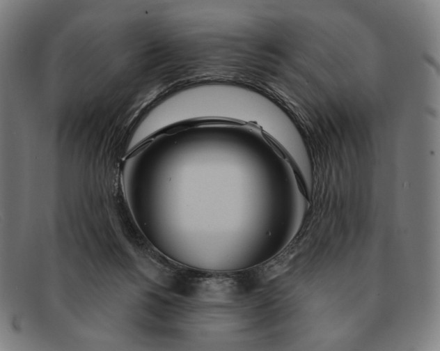 X0000091310168200708311404