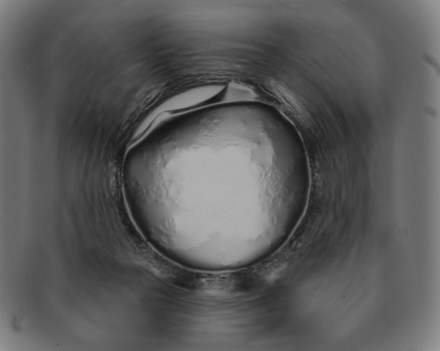 X0000091310169200708311404