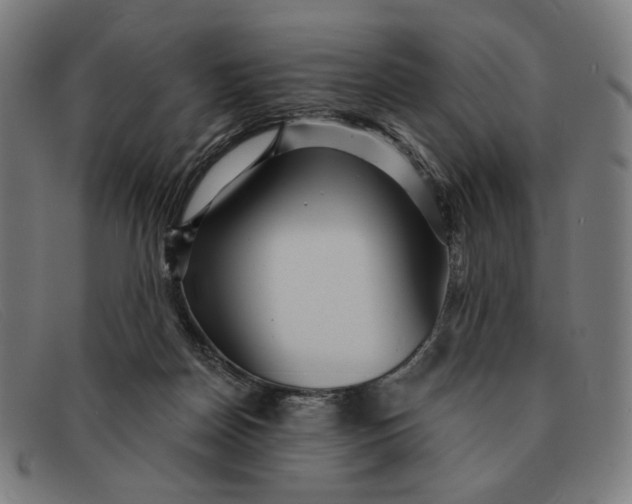 X0000091310170200708311404