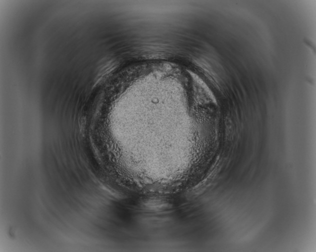 X0000091310171200708311404