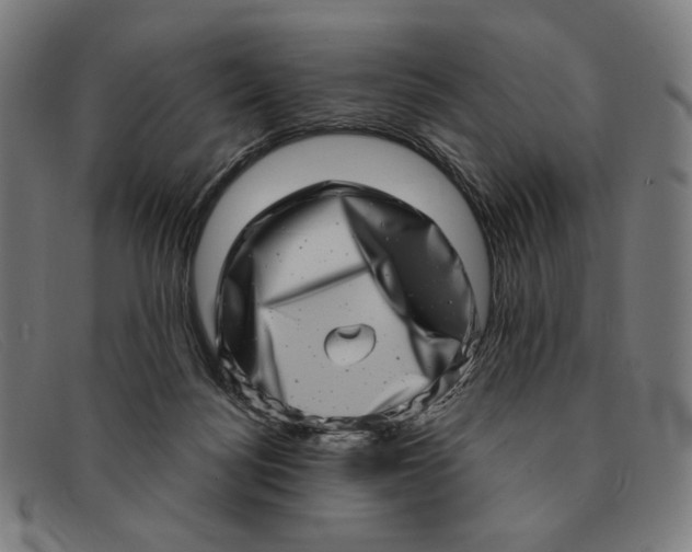 X0000091310172200708311404