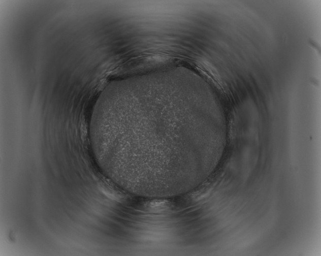 X0000091310173200708311404