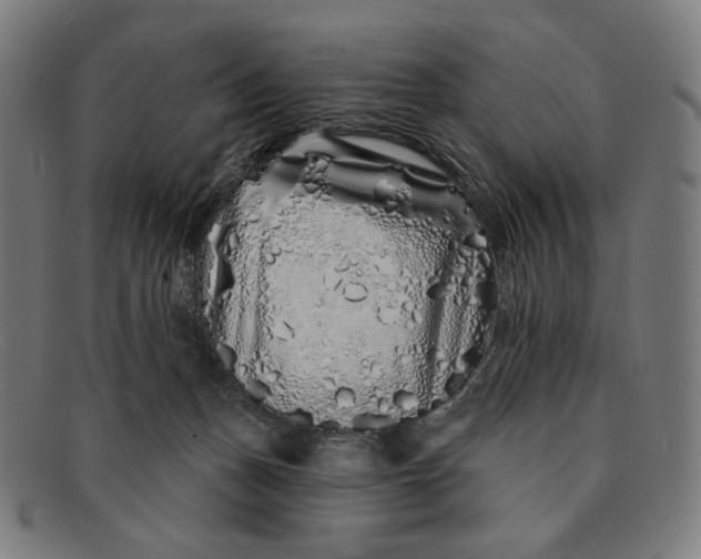 X0000091310175200708311404