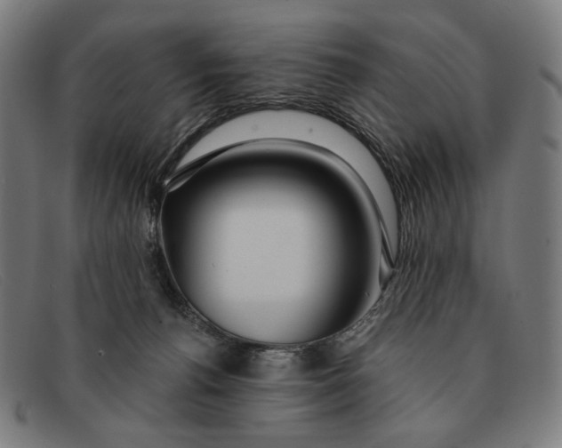 X0000091310176200708311404