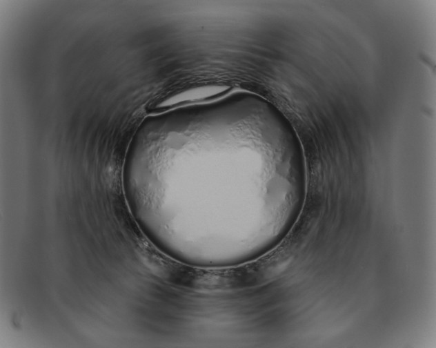 X0000091310177200708311404