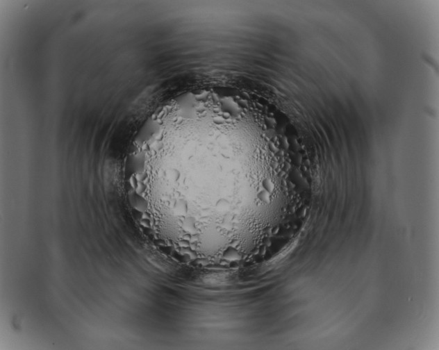 X0000091310178200708311404