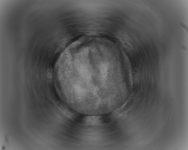 X0000091310179200708311404