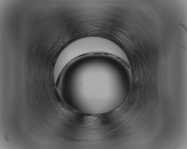 X0000091310180200708311404