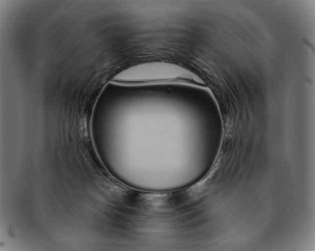 X0000091310182200708311404