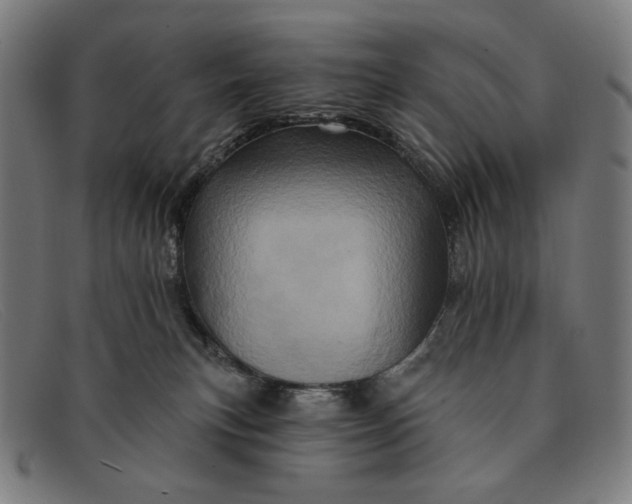 X0000091310183200708311404