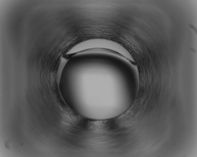 X0000091310184200708311404