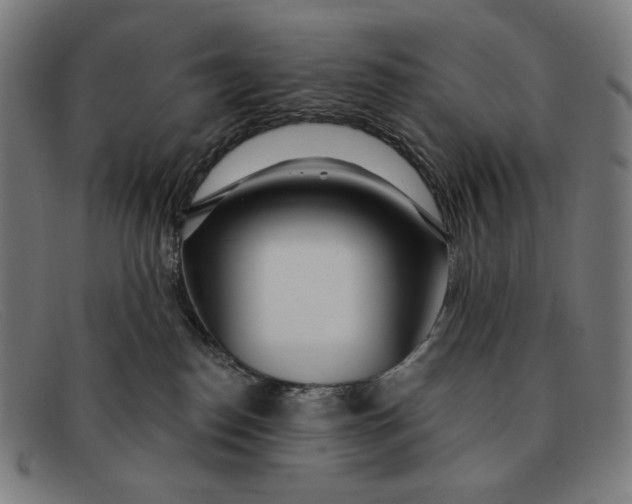 X0000091310186200708311404