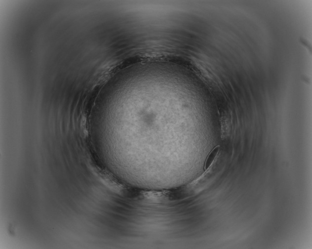 X0000091310187200708311404