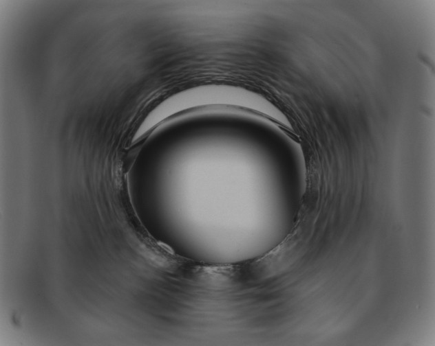 X0000091310188200708311404