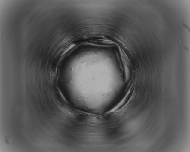 X0000091310191200708311404