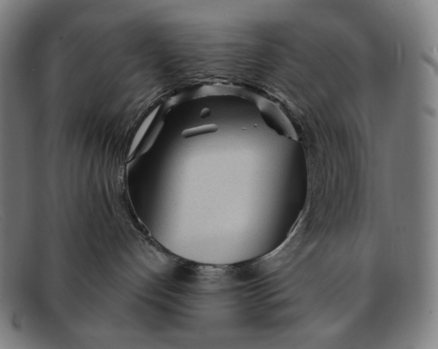 X0000091310192200708311404