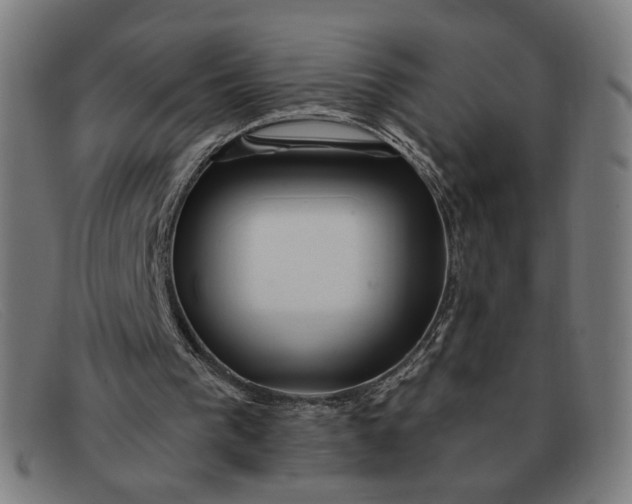 X0000091310193200708311404