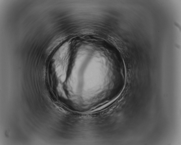 X0000091310194200708311404