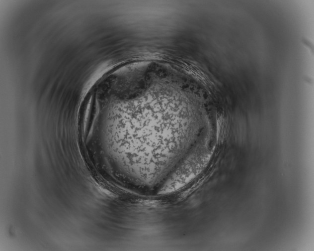 X0000091310195200708311404