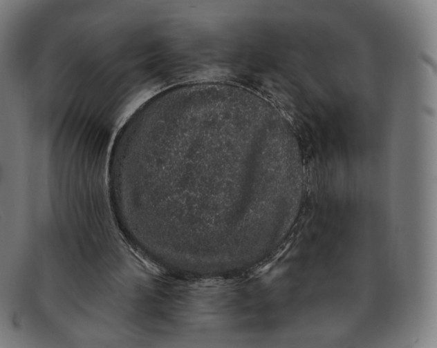 X0000091310196200708311404