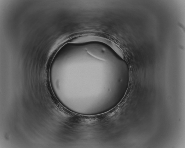 X0000091310198200708311403