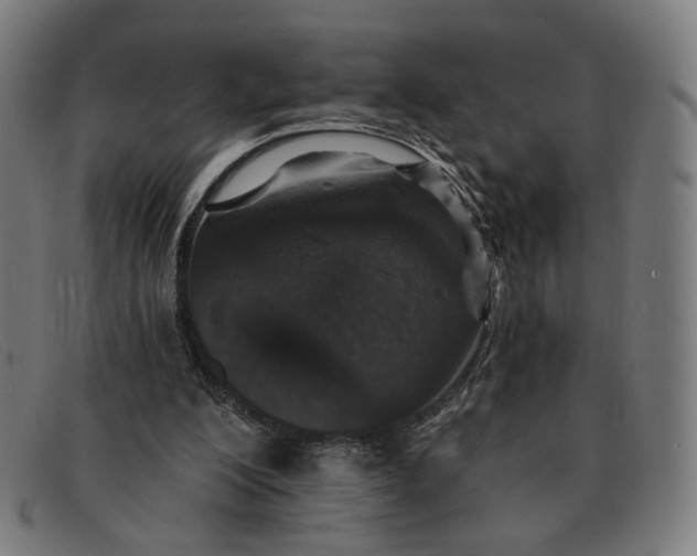 X0000091310200200708311403