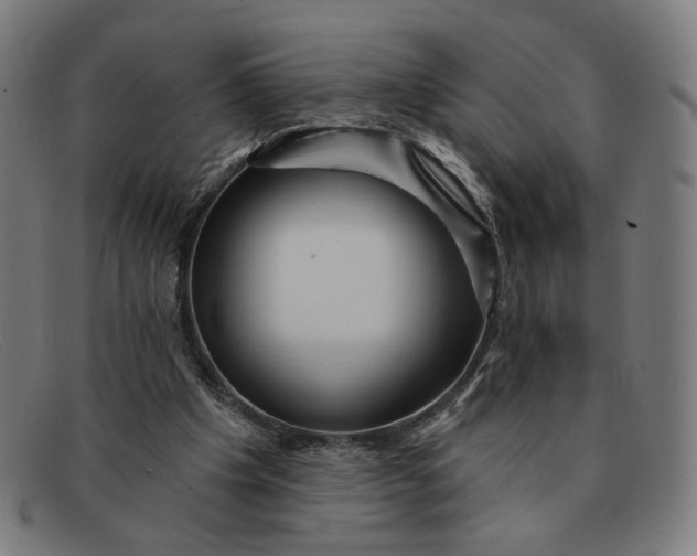 X0000091310201200708311403