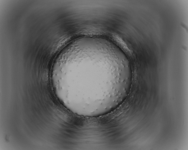 X0000091310202200708311403