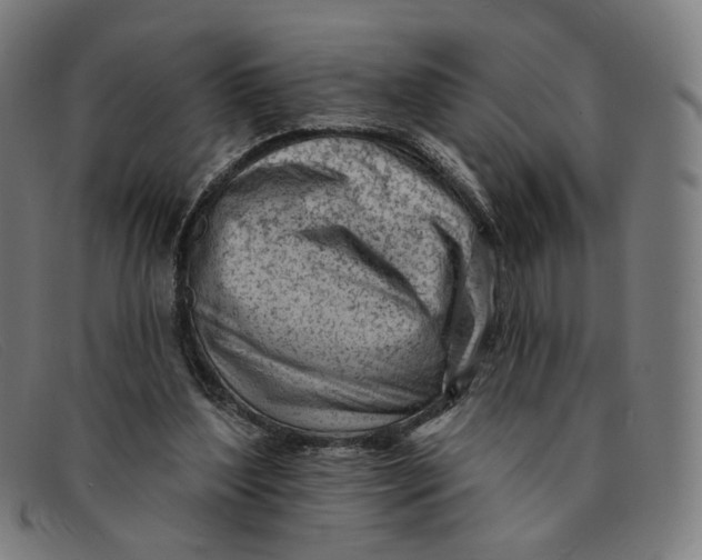 X0000091310204200708311403