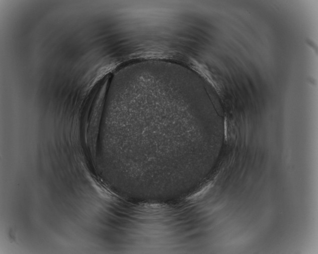 X0000091310205200708311403