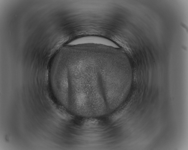 X0000091310206200708311403